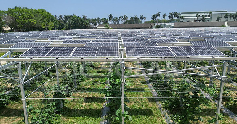 太陽光発電所の理想的な規模を探る: 2024 年の最新の展望